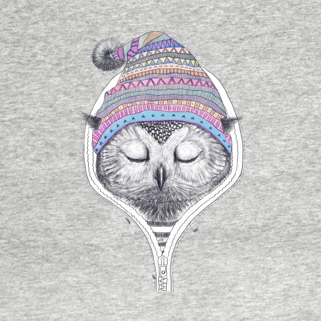 Winter owl by kodamorkovkart